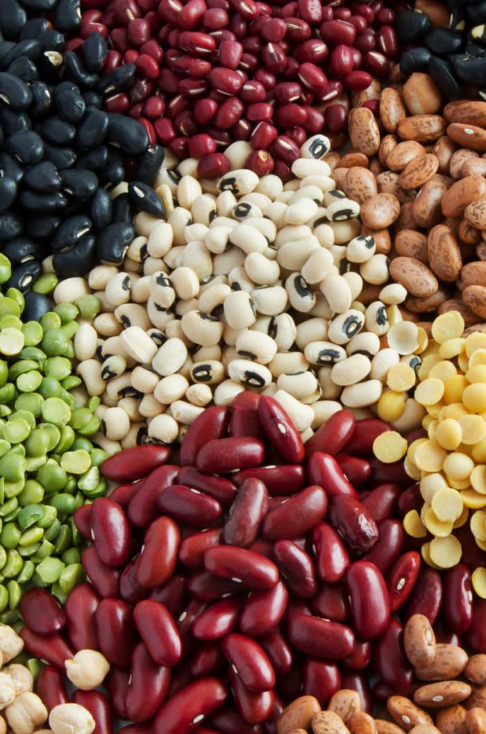Légumes secs