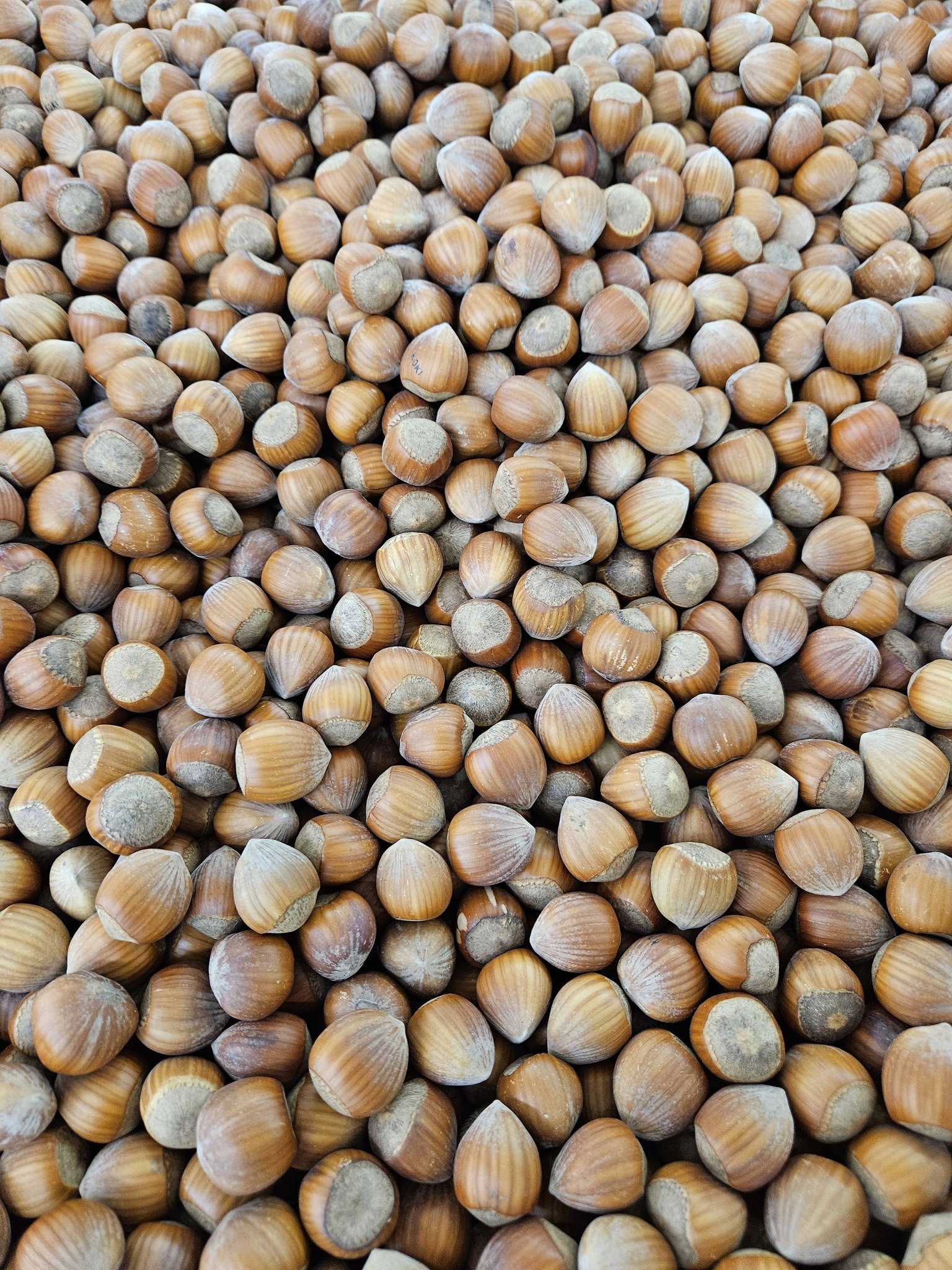 Produit frais Hamdi Prim'