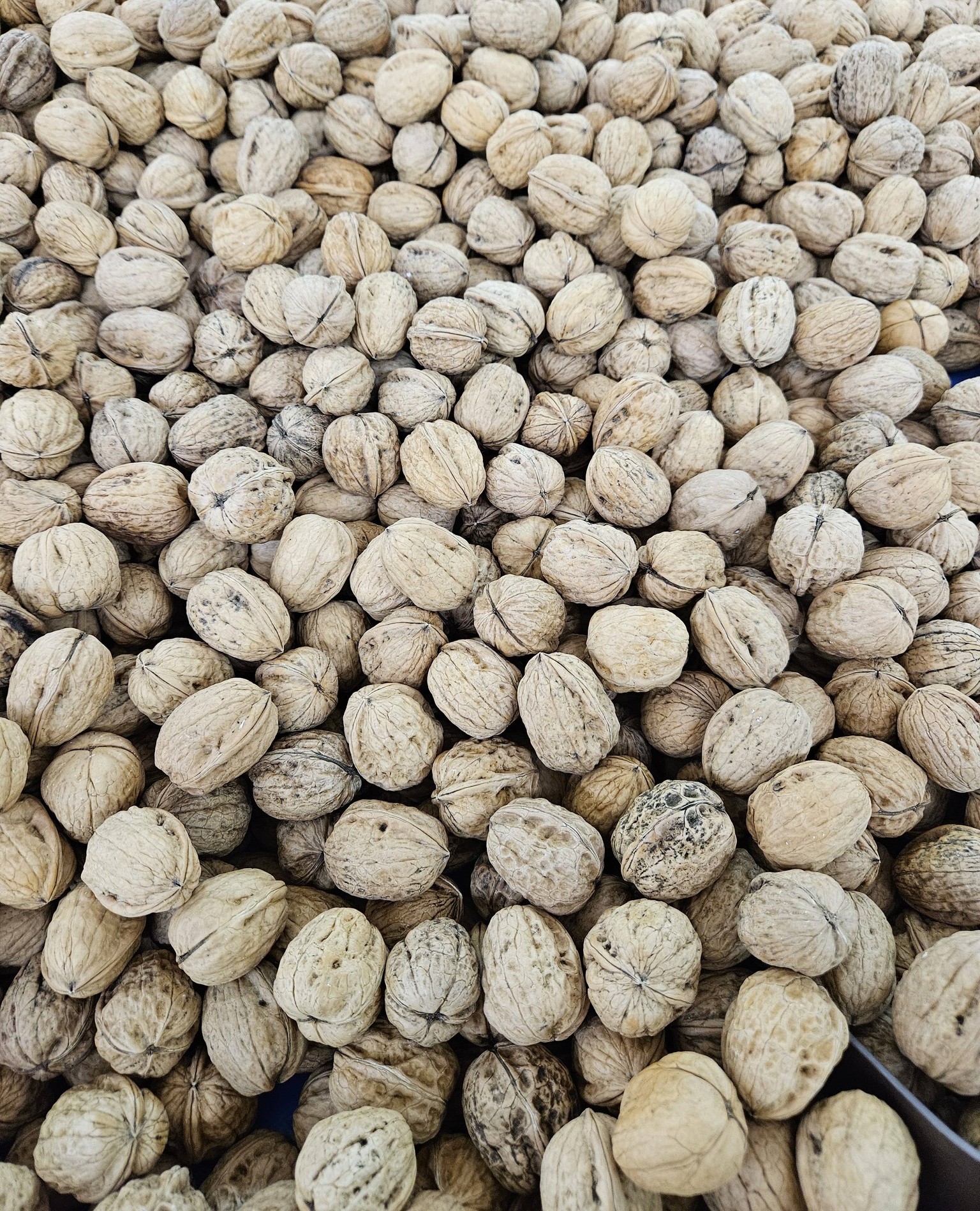 Produit frais Hamdi Prim'