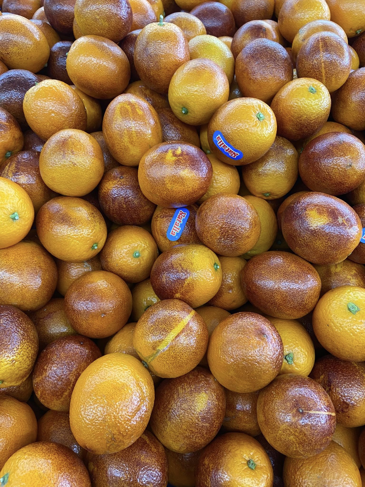 Produit frais Hamdi Prim'