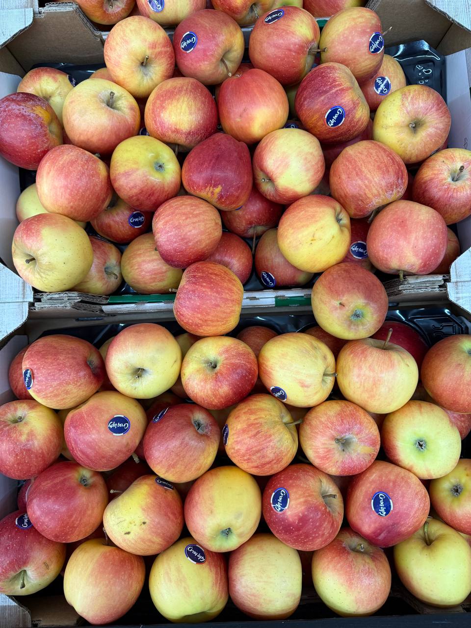 Produit frais Hamdi Prim'