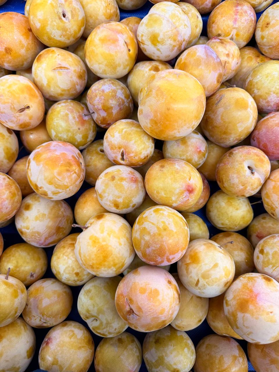 Produit frais Hamdi Prim'