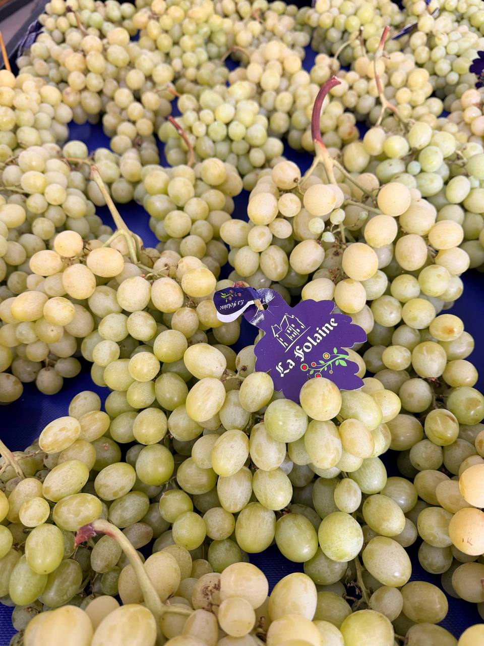 Produit frais Hamdi Prim'
