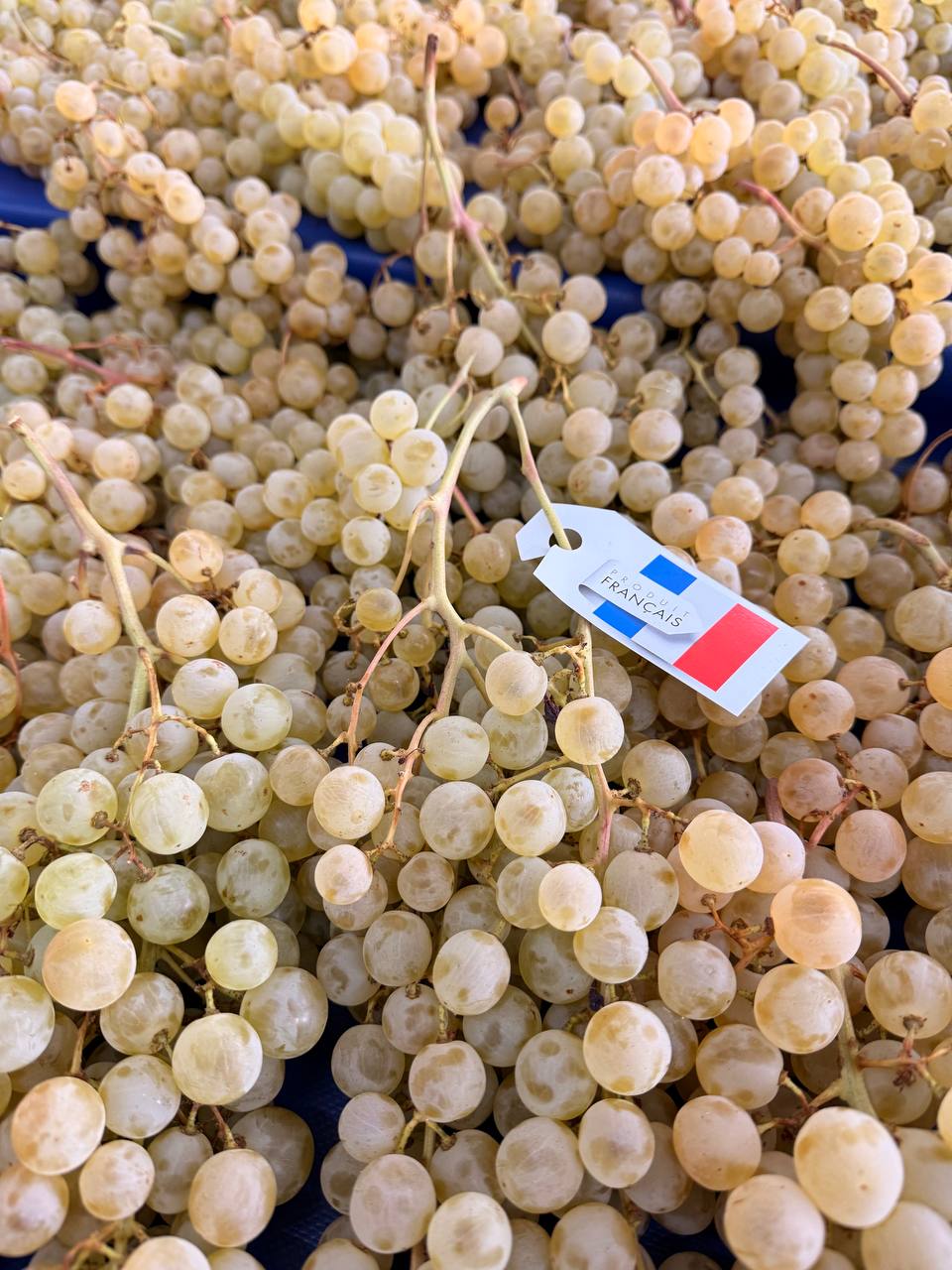 Produit frais Hamdi Prim'