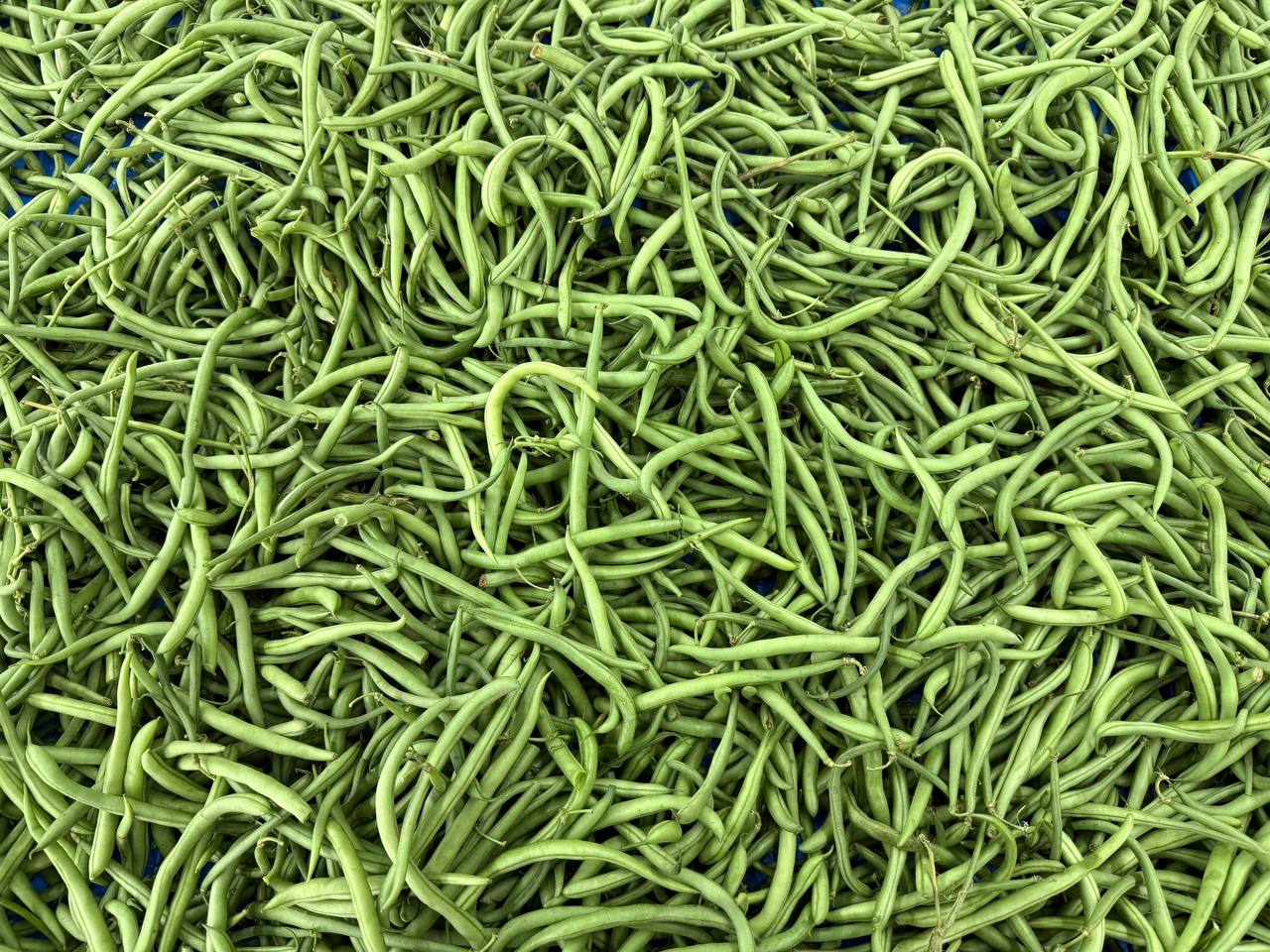 Produit frais Hamdi Prim'